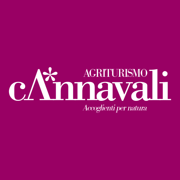 progettazione grafica logo cannavali progettazione grafica logo cannavali
